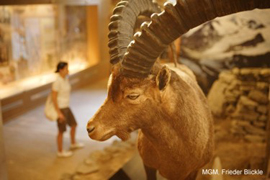 ArcheoParc Val Senales. Museo interattivo
