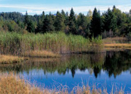 Il Lago Llungo