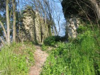 Ruderi castello di Speronella su Rocca Pendice