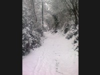 Nevicata al Covolo