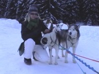 Dolomiti a 4 zampe - Giro su slitta con cani Husky