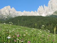 L'EMOZIONE DI UN MONDO