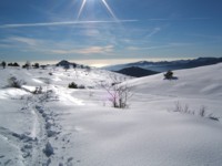 Ciaspolata verso il Pizzo d'Ormea (Cn)