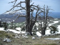 Pollino - Serra delle ciavole