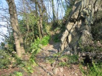 Sentiero su creste di Rocca Pendice