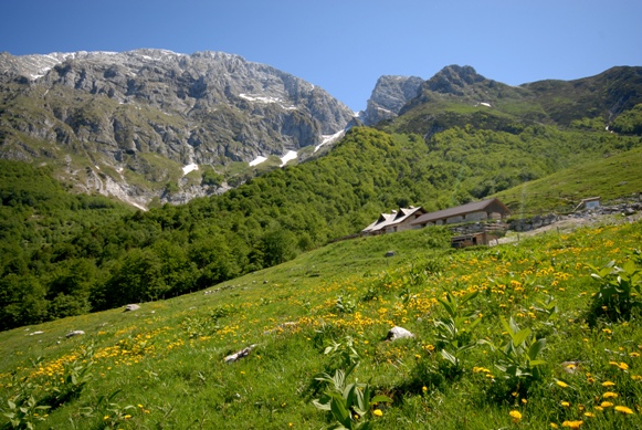 Malga Coot - Alta Val Resia, nel Parco naturale delle Prealpi Giulie