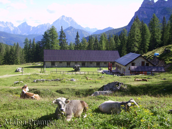 agriturismo malga Pramper - mt. 1540